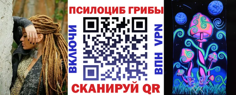 Галлюциногенные грибы Cubensis  Туринск 