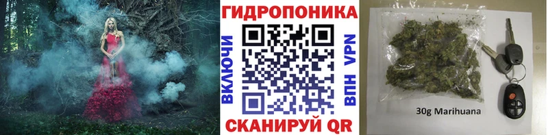 Каннабис SATIVA & INDICA  закладка  blacksprut ссылка  Туринск 